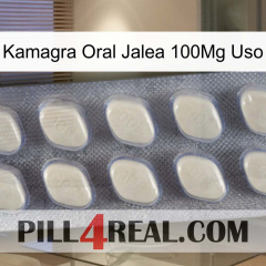 Kamagra Oral Jelly 100Mg Use 08